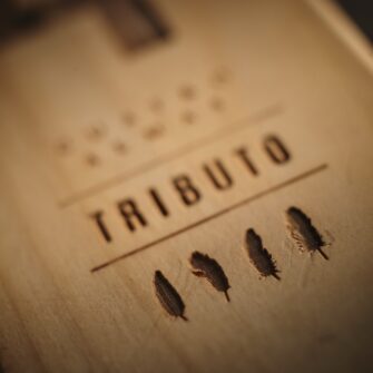 Alternative view of TRIBUTO® by 4 Almas: Cabernet Sauvignon Ícono de Maipo Andes