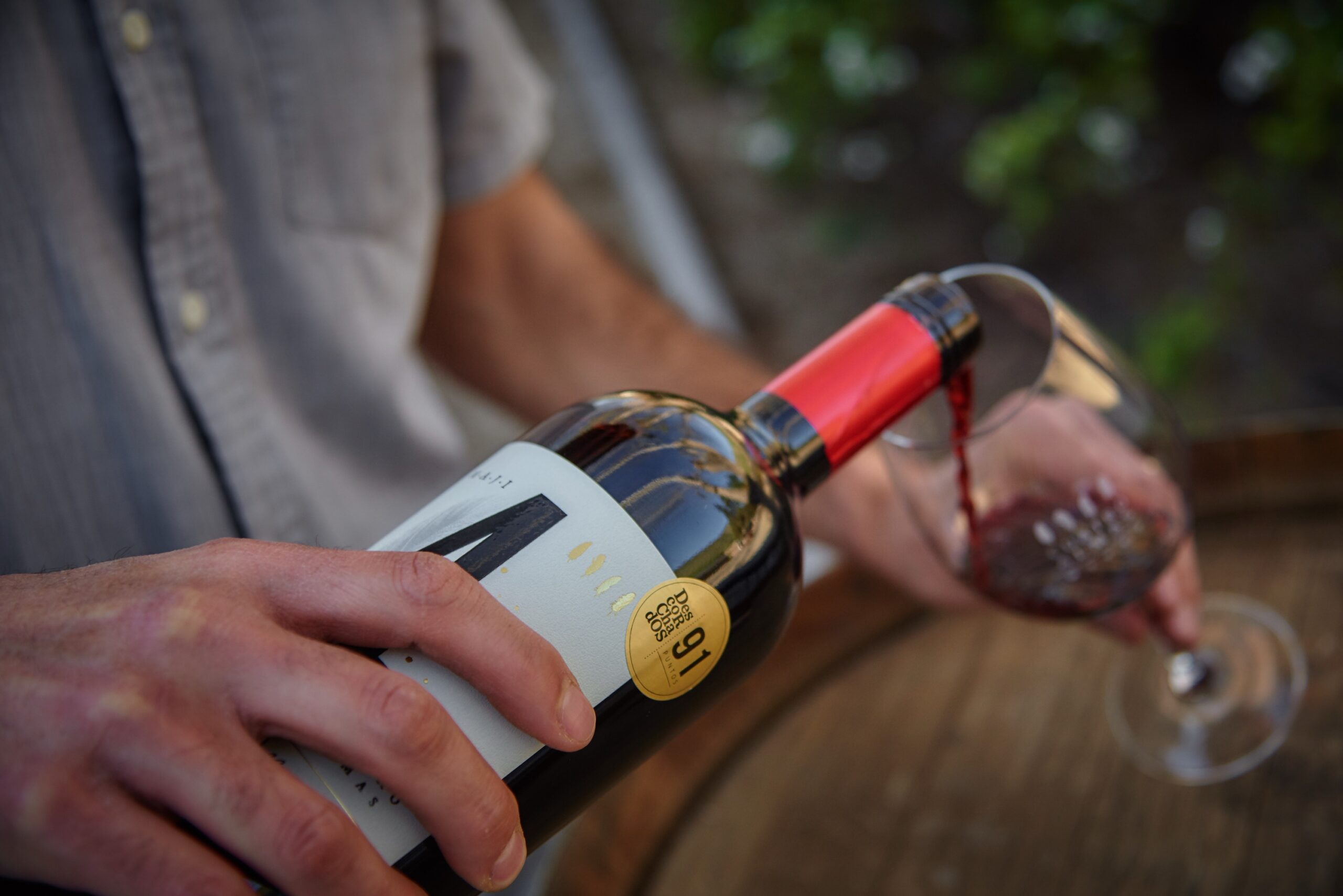 TIEMPOS de Cuatro Almas: Cabernet Sauvignon "Corazón de los Andes" 6 botellas - Imagen 3
