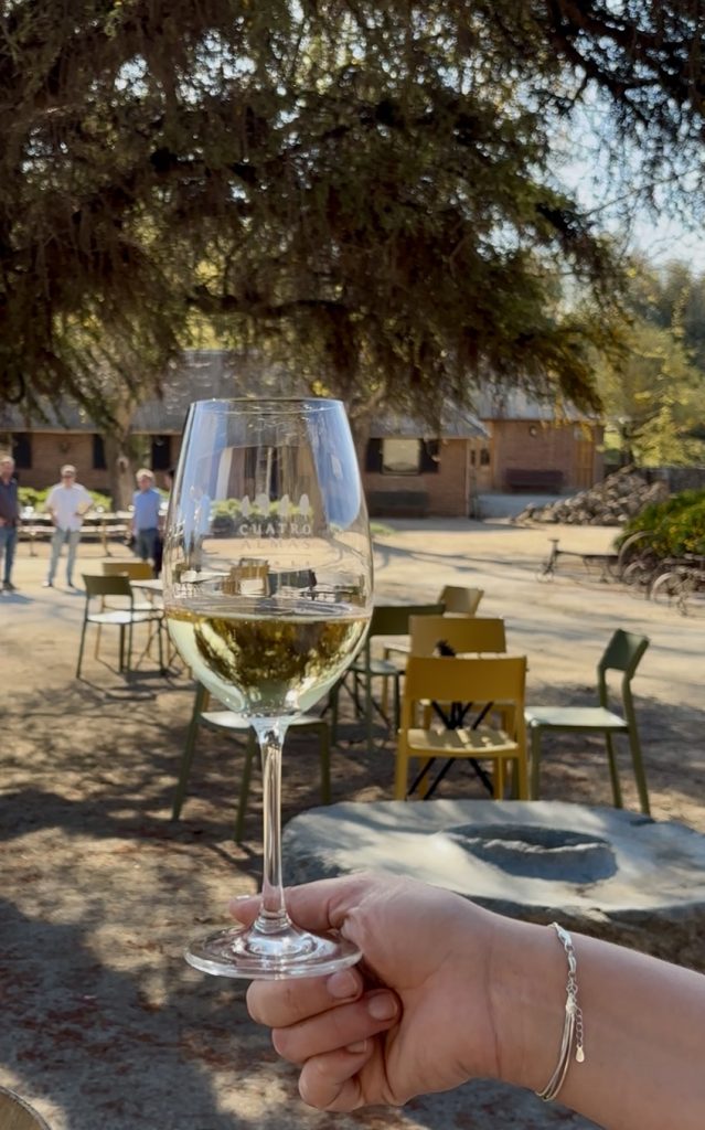 Origen-Wine-Experiences-degustaciones-639x1024