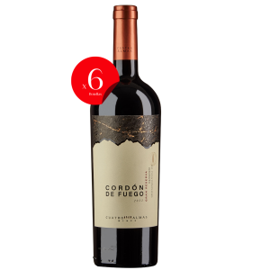 Embalagem x6 Cordon de Fuego Carmenere Gran Reserva