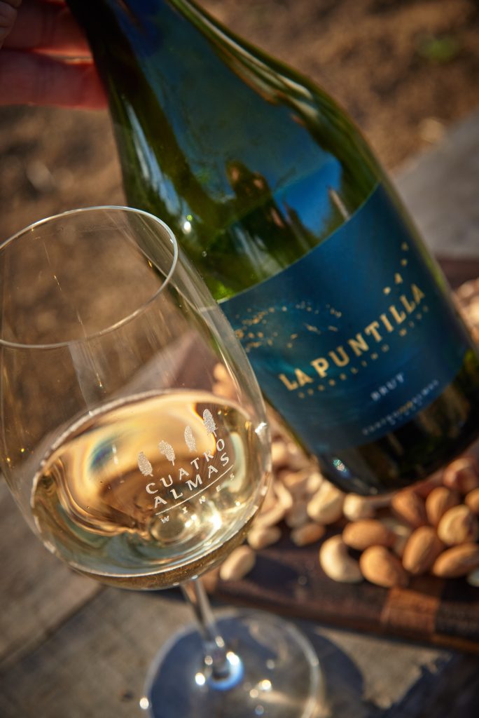 sparkling-wine-684x1024