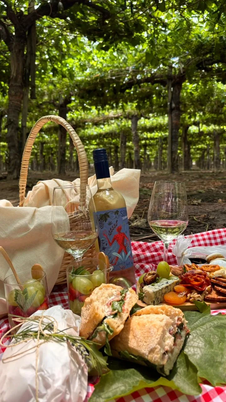 Picnic