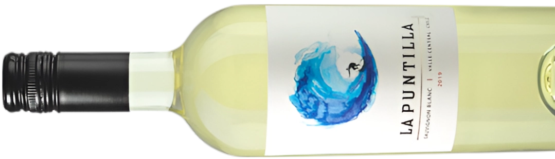 Vinos y Enoturismo en Chile - Cuatro Almas